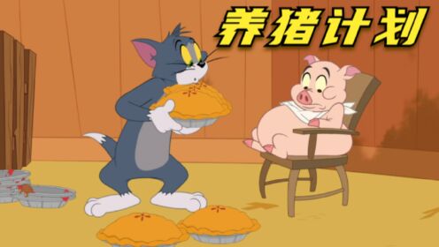 搞笑配音：汤姆猫和杰瑞齐心协力养小猪猪_高清