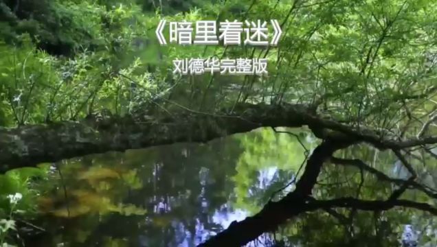 其实每次见你我也着迷,无奈你我各有角色范围,就算在寂寞梦内超出好友关系,唯在暗里爱你暗里着迷#暗里着迷完整版 #热门经典歌曲 #好声音好歌回忆