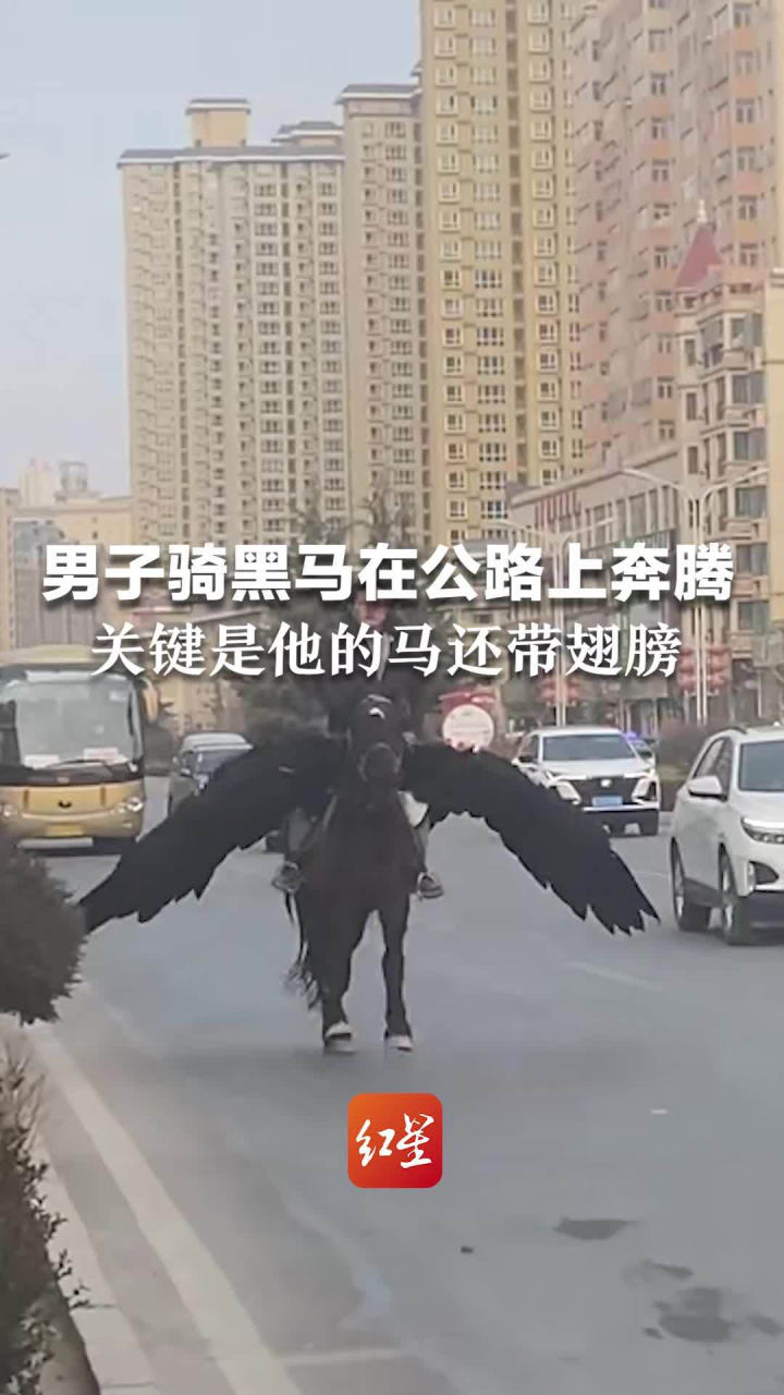 男子騎黑馬在公路上奔騰,關鍵是他的馬還帶翅膀