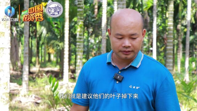 护土中国 瑞丰生态:如何减少土壤水分蒸发,快试试这些方法~