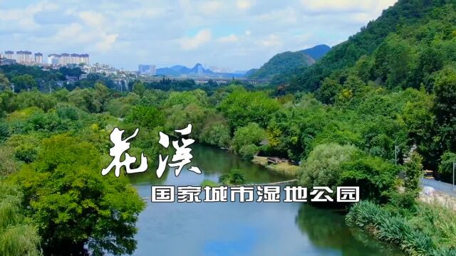 2023世界湿地日:走进贵阳大美湿地之花溪湿地公园