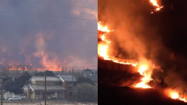 日本一水库灌附近木丛发生火灾,大火持续燃烧9小时,无人伤亡