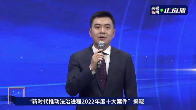 十大案件之“陈麻花”商标无效行政案:加强知产司法保护 激发社会创新活力