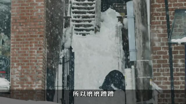 看懂滑雪场的生意,你就懂了大部分商业乱象