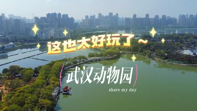 秋日,探访改造后的武汉动物园,动物们的家园真美好