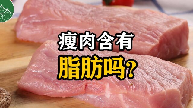 瘦肉含有脂肪吗