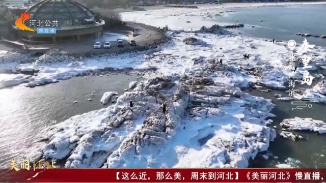 美丽河北 走进北戴河海滨 听一曲海冰与沙滩的恋歌