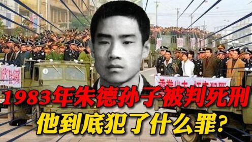 1983年，开国元帅朱德的孙子在天津被判死刑，他究竟犯了什么罪？