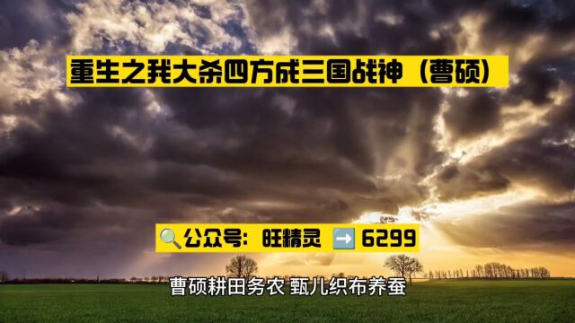 重生之我大杀四方成三国战神(曹硕小说)全文○在线阅读