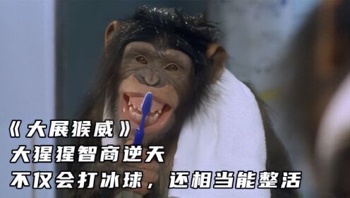 《大展猴威》：大猩猩智商逆天，不仅会打冰球，还相当能整活