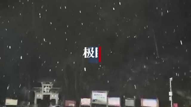 【视频】真的!武汉正在飘雪花