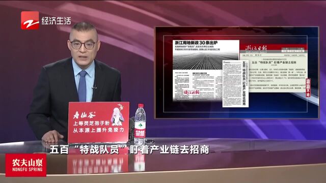 五百“特战队员”盯着产业链去招商