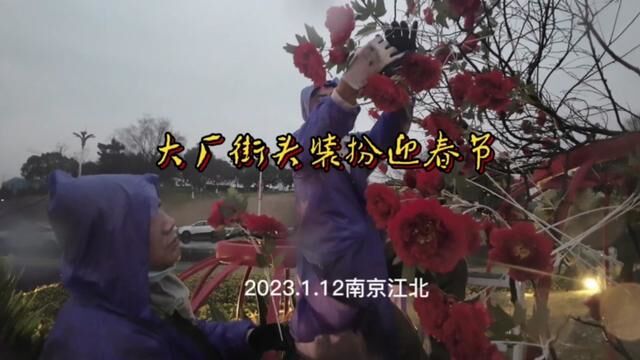 大厂街头装扮迎春节2023.1.12南京江北#春节倒计时 #过年氛围提前搞起来了 #我的家乡年味浓