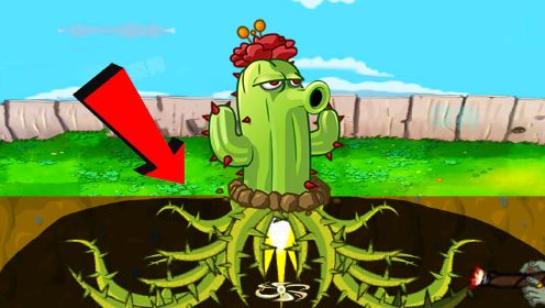 植物大战僵尸：仙人掌地下长了藤蔓触角？南瓜头收集僵尸防具？