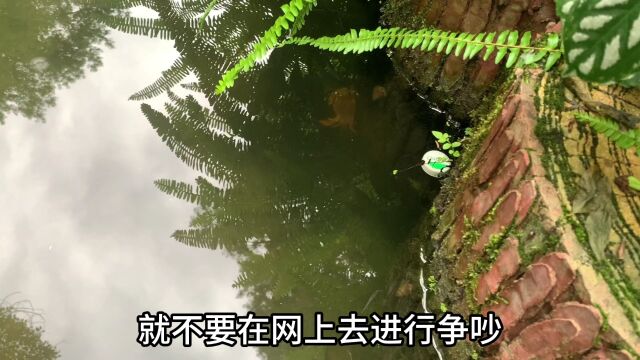 这个视频可以解决大部分泸州人的归属焦虑,不要无谓争论努力发展