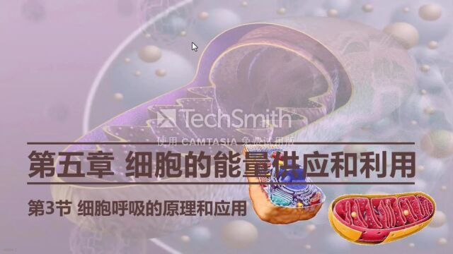 开元中学结业考试——生物呼吸作用和光合作用专题讲解