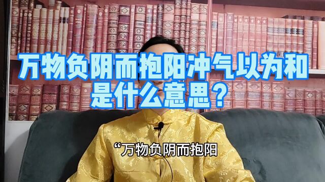 “万物负阴而抱阳 冲气以为和”是什么意思?