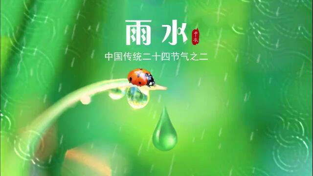 雨水传统二十四节气