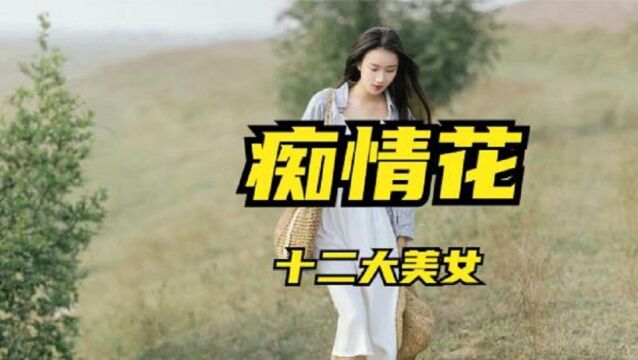 十二大美女《痴情花》卡拉ok歌词