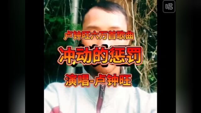 卢钟旺六万首歌曲冲动的惩罚