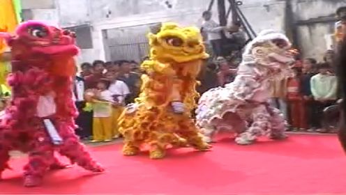 广东省化州市茅山村2006年醒狮表演