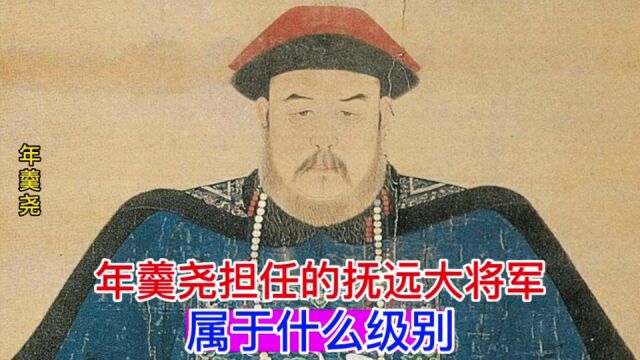 年羹尧担任的抚远大将军,属于什么级别?