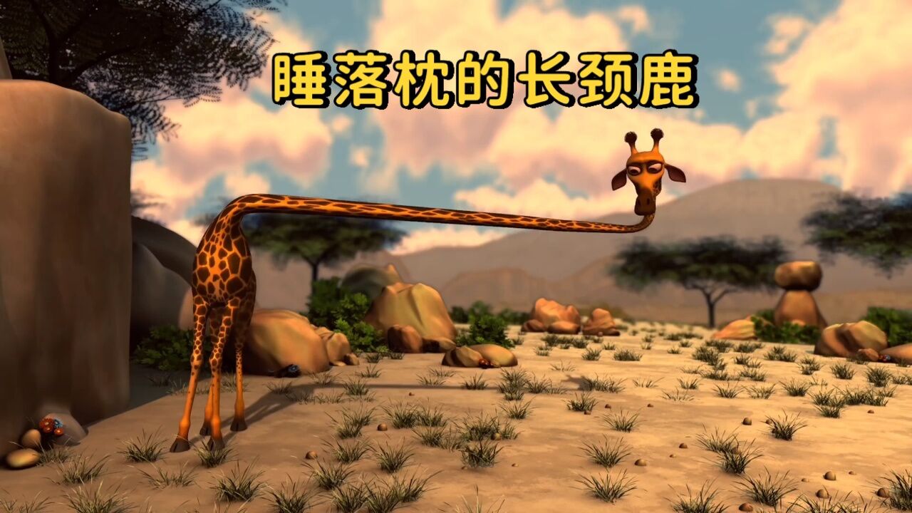 睡落枕的长颈鹿