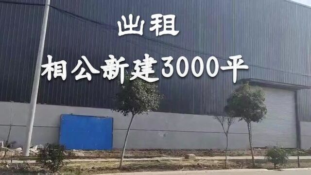 出租相公厂房,钢结构3000平,9米髙,带配房,水电齐全,一年23万,能走13米大车,合作共赢!#工业地产 #工厂实拍视频