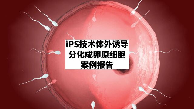 北联世纪:iPS技术体外诱导分化成卵原细胞形成卵子案例报告