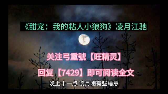 完结热书《甜宠:我的粘人小狼狗》凌月江驰全文