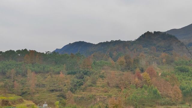 大地多险绝“猛虎下山”右砂转案,左砂抱堂,乾峰叠叠出状元