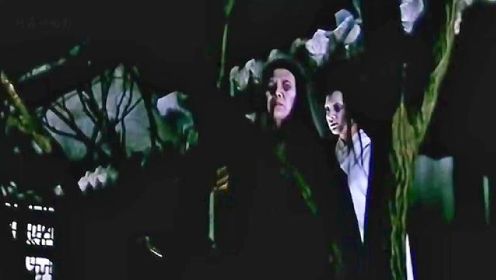 《蓝桥月冷》1/3，这部聊斋的导演是找的演员怕不是真鬼，每一帧都是你的童年噩梦#电影 #影视解说 #经典港片