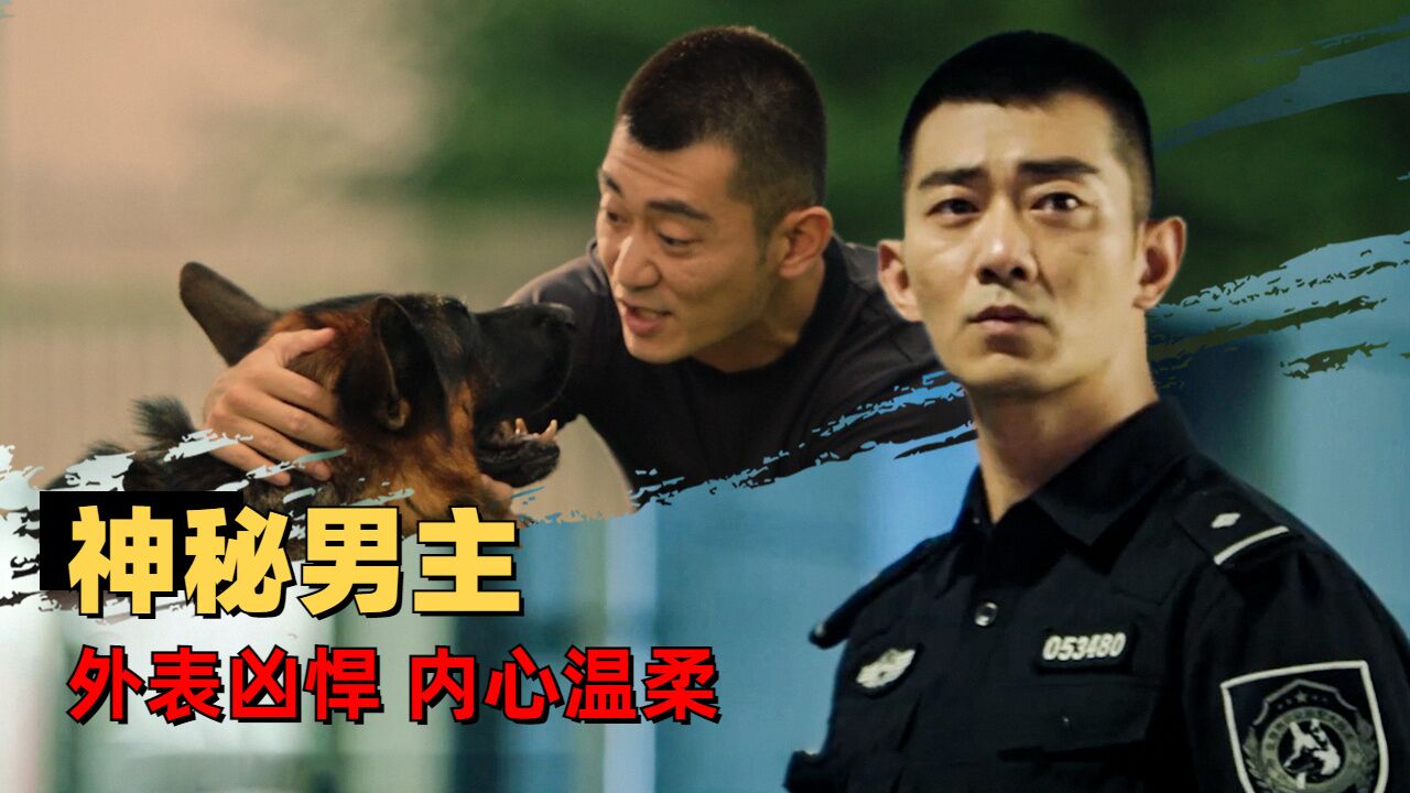 七小汪警犬隊:用神犬的視角打開電影,全員進入戰時狀態!