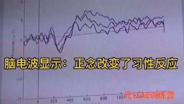 脑电波显示:正念改变了习性反应