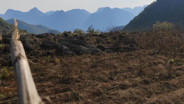 山河大师兴仁寻地,山脉蜿蜒回头开窝结地,明堂端正贵峰朝迎