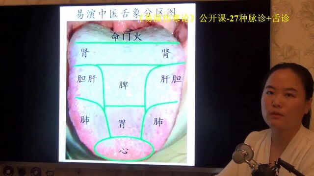 15脉象特点分类 易演伤寒论公开课5