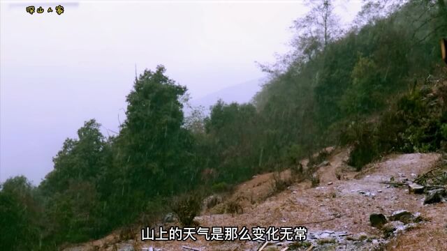 第20集:尼泊尔大山里游牧生活,山上的天气总是变化无常