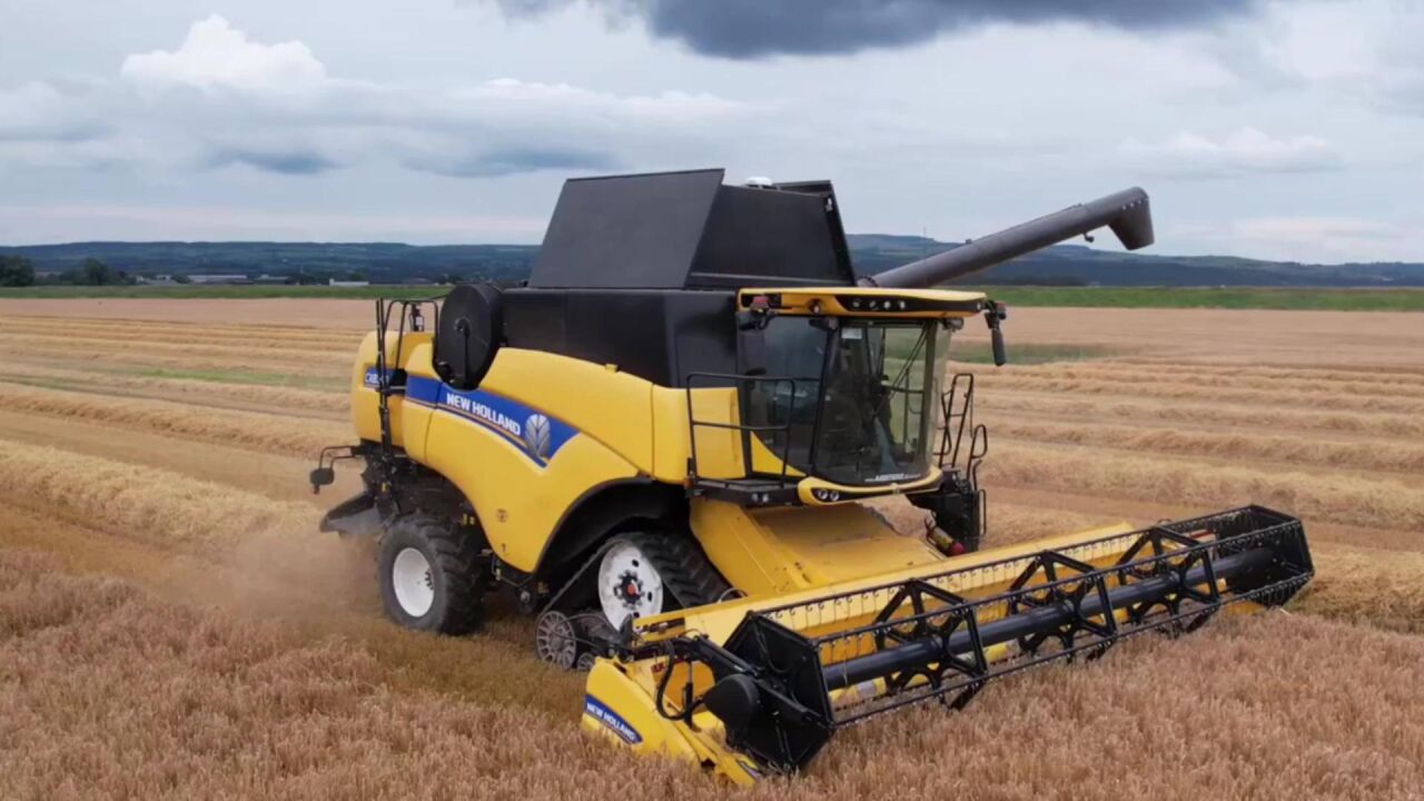 纽荷兰cx8.90联合收割机收获冬麦!