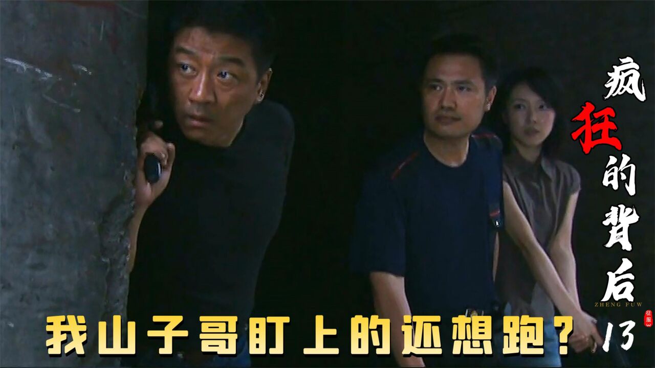 匪徒正在交易，却不料有卧底，山子哥率领队友前去围捕_高清1080P在线观看平台_腾讯视频