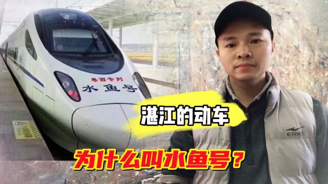 深圳北站到湛江的动车,为什么大家叫它水鱼号?