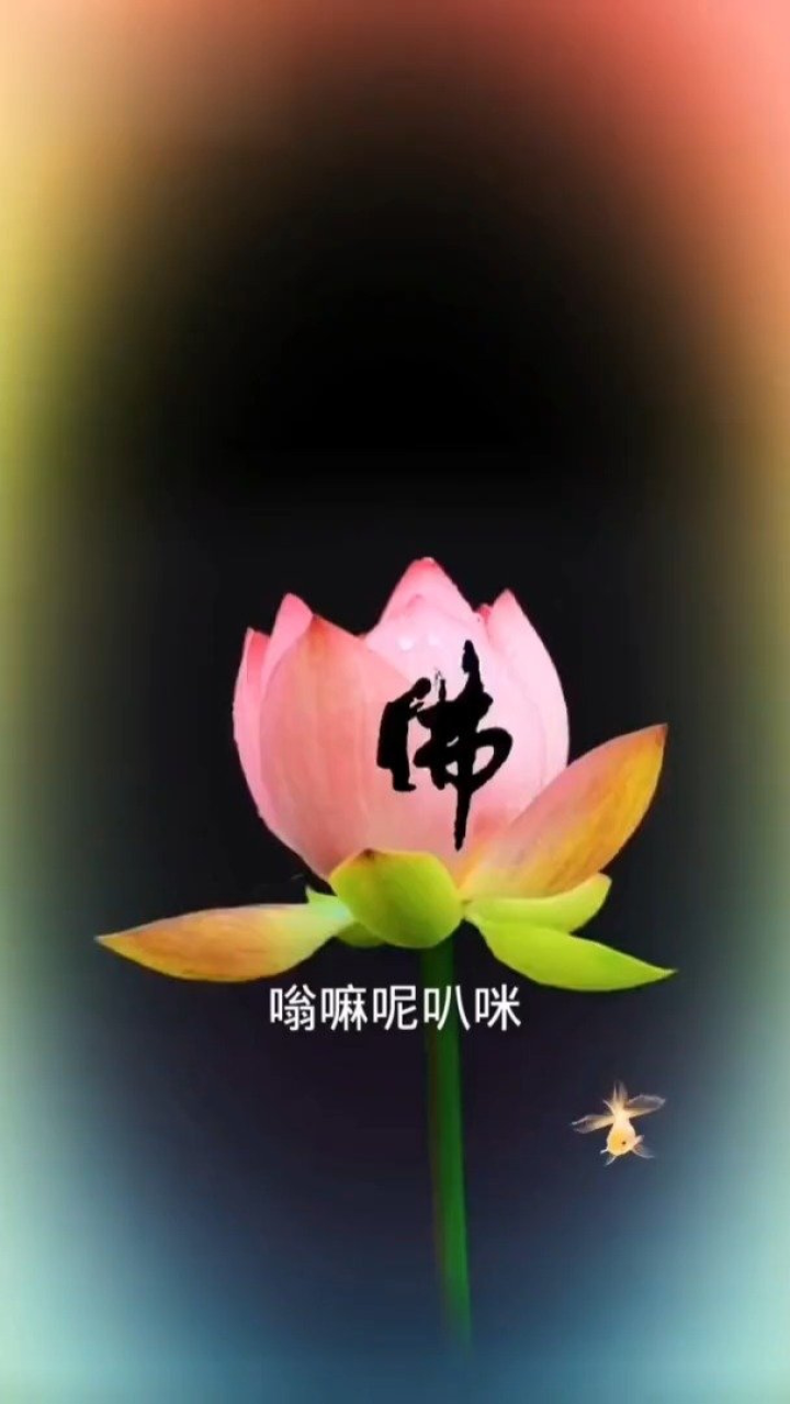 720_1280竖版 竖屏