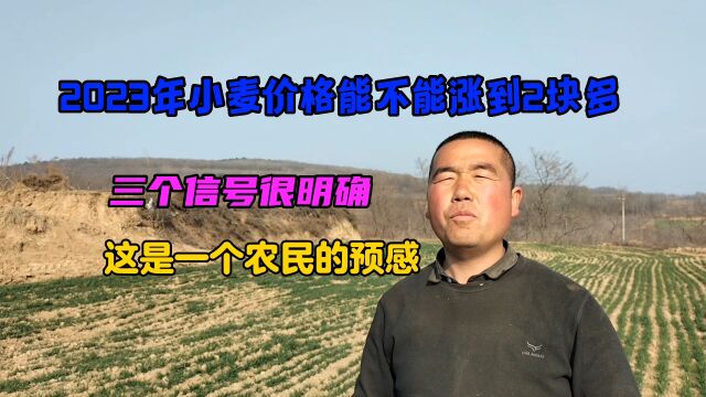 2023年小麦价格能涨到2块多,农村三个信号很明确