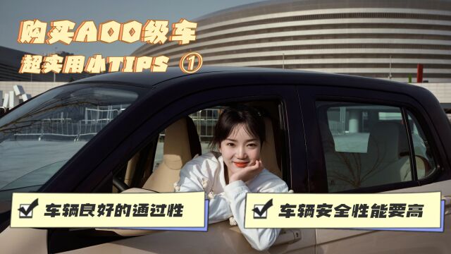 购买A00级车 超实用小TIPS