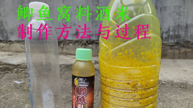 用料便宜操作简单,自制鲫鱼打窝酒米三分钟学会,黄灿灿的真不错