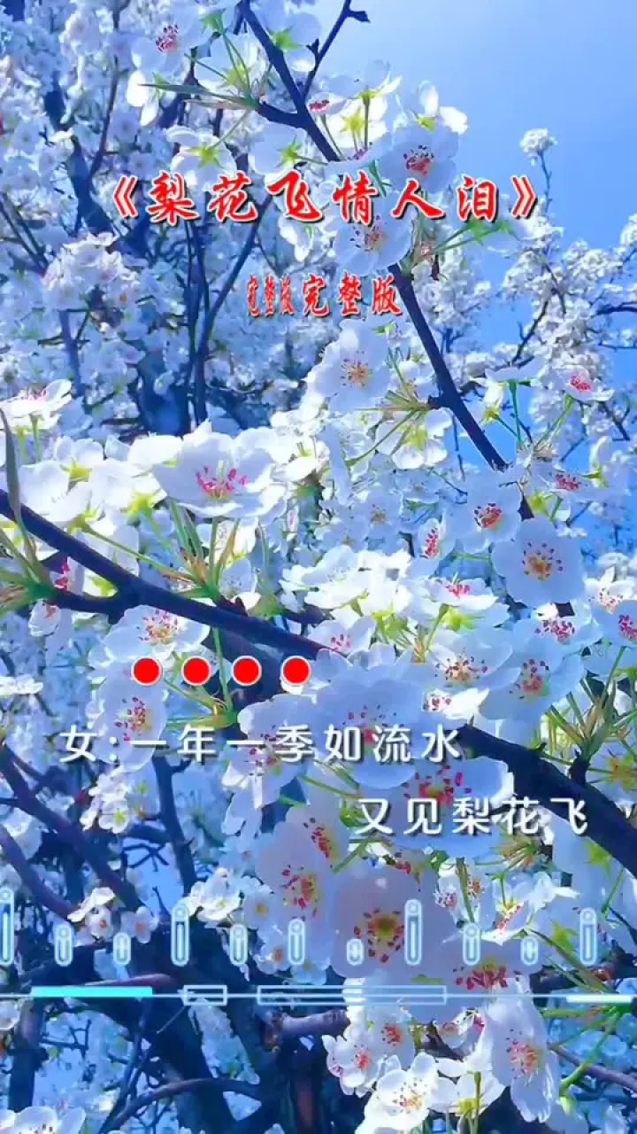 梨花飞情人泪