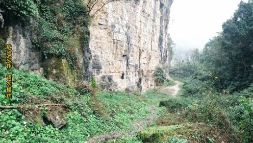 小伙在四川深山悬崖上发现神秘石门，门上符文，至今无人能破解！ #探险 #户外探险 