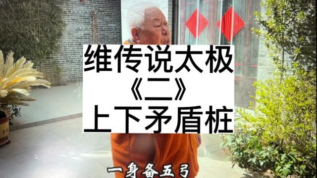 打开太极大门的金钥匙——上下矛盾桩,维传说太极持续更新中.#维传说太极 #非物质文化遗产 #知识分享 #传统文化