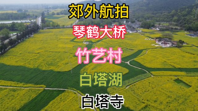 郊外航拍 油菜花田,琴鹤大桥旁 道明竹艺村旁 白塔湖 白塔寺!