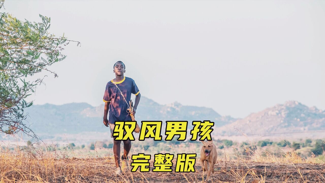 知识可以改变命运,高分励志电影《驭风男孩》