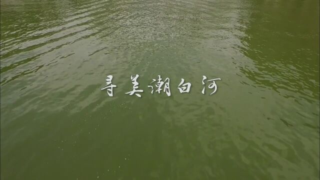 亚太看天下:奇妙之旅寻美潮白河